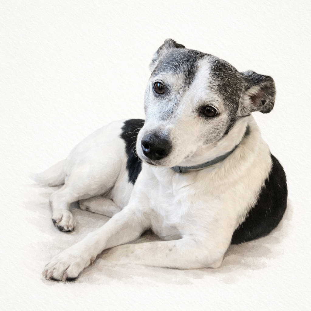 Digital Watercolor Custom Pet Portrait